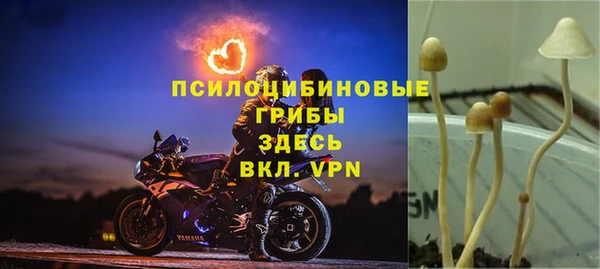каннабис Алексин