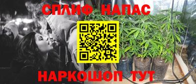 ГАЛЛЮЦИНОГЕННЫЕ ГРИБЫ Свободный