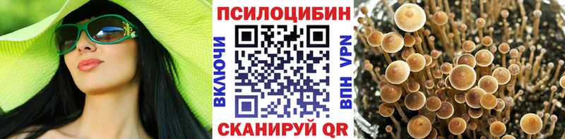 Псилоцибиновые грибы мухоморы  Южно-Сахалинск 